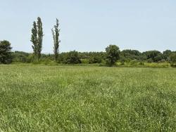 Land Zu verkaufen in Okçular Bz. Ortaca - Gehäuse-Zonierung - 2.100 m²