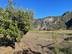 Feld Zu verkaufen in Dalyan Bz. Ortaca - Feld-Zonierung - 6.600 m²