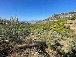Land Zu verkaufen in Gökbel Bz. Ortaca - Gehäuse-Zonierung - 3.514 m²