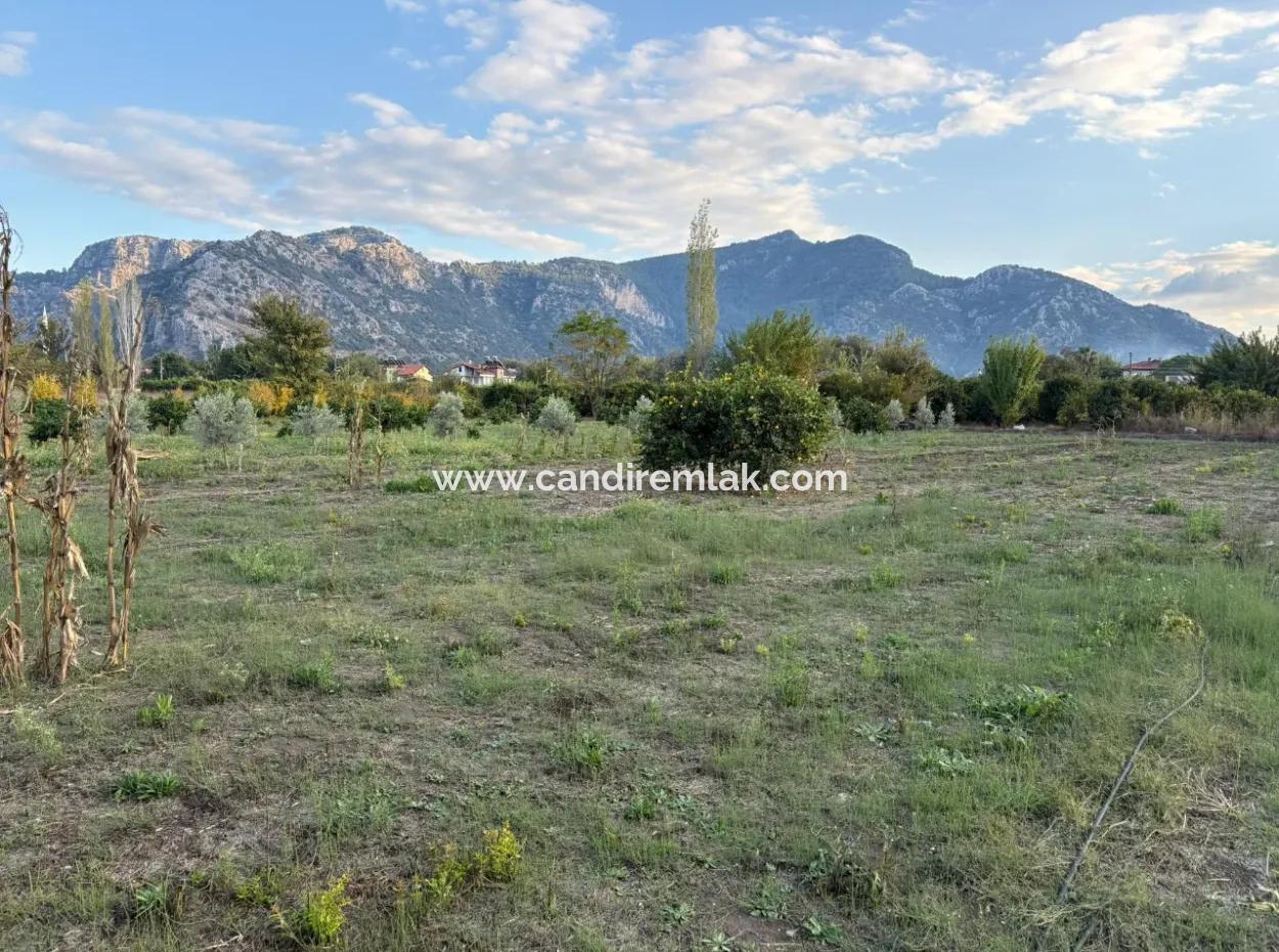 7.450M2 Land Zum Verkauf In Der Nähe Des Zentrums Von Dalyan