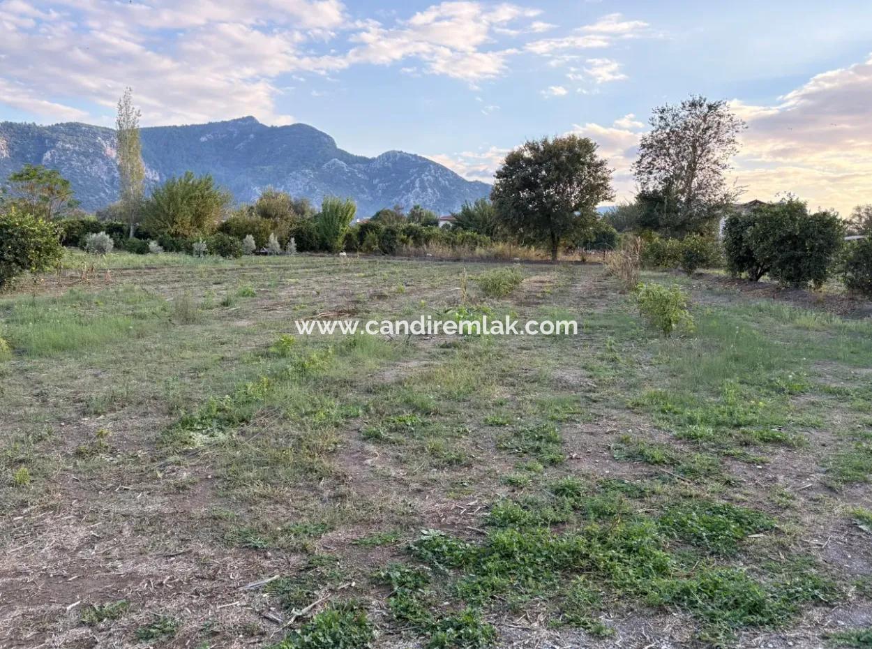 7.450M2 Land Zum Verkauf In Der Nähe Des Zentrums Von Dalyan