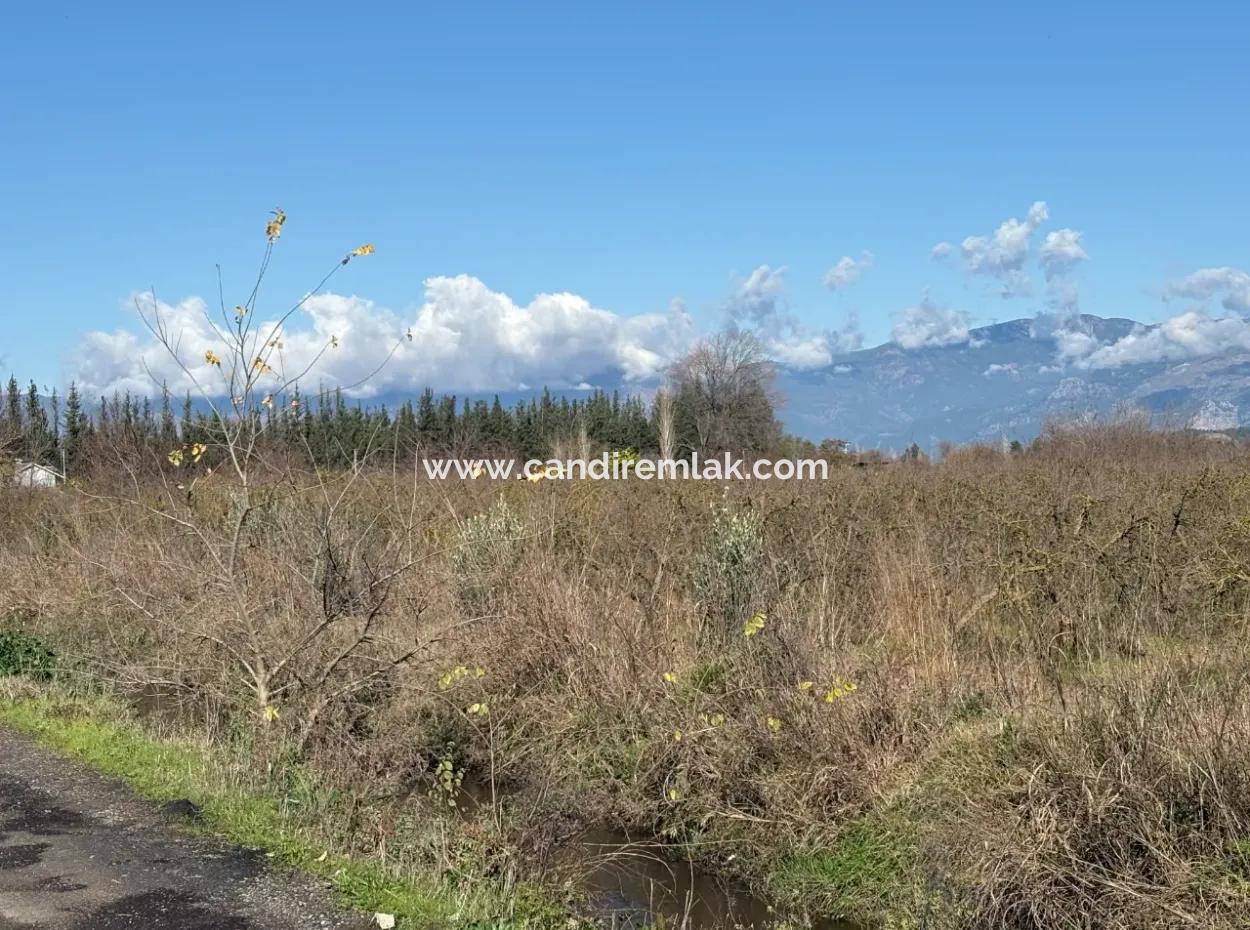 23.000M2 Freistehender Feldgarten Zum Verkauf In Tepearasin,