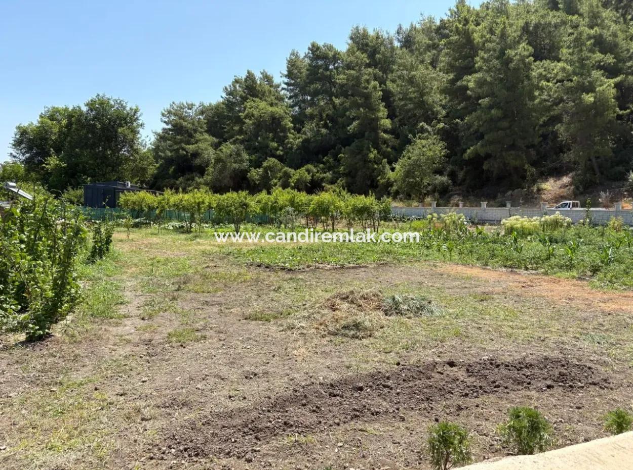 120M2 Freistehendes Holzhaus Auf Einem 2500M2 Großen Feld In Dalyan Karadağ