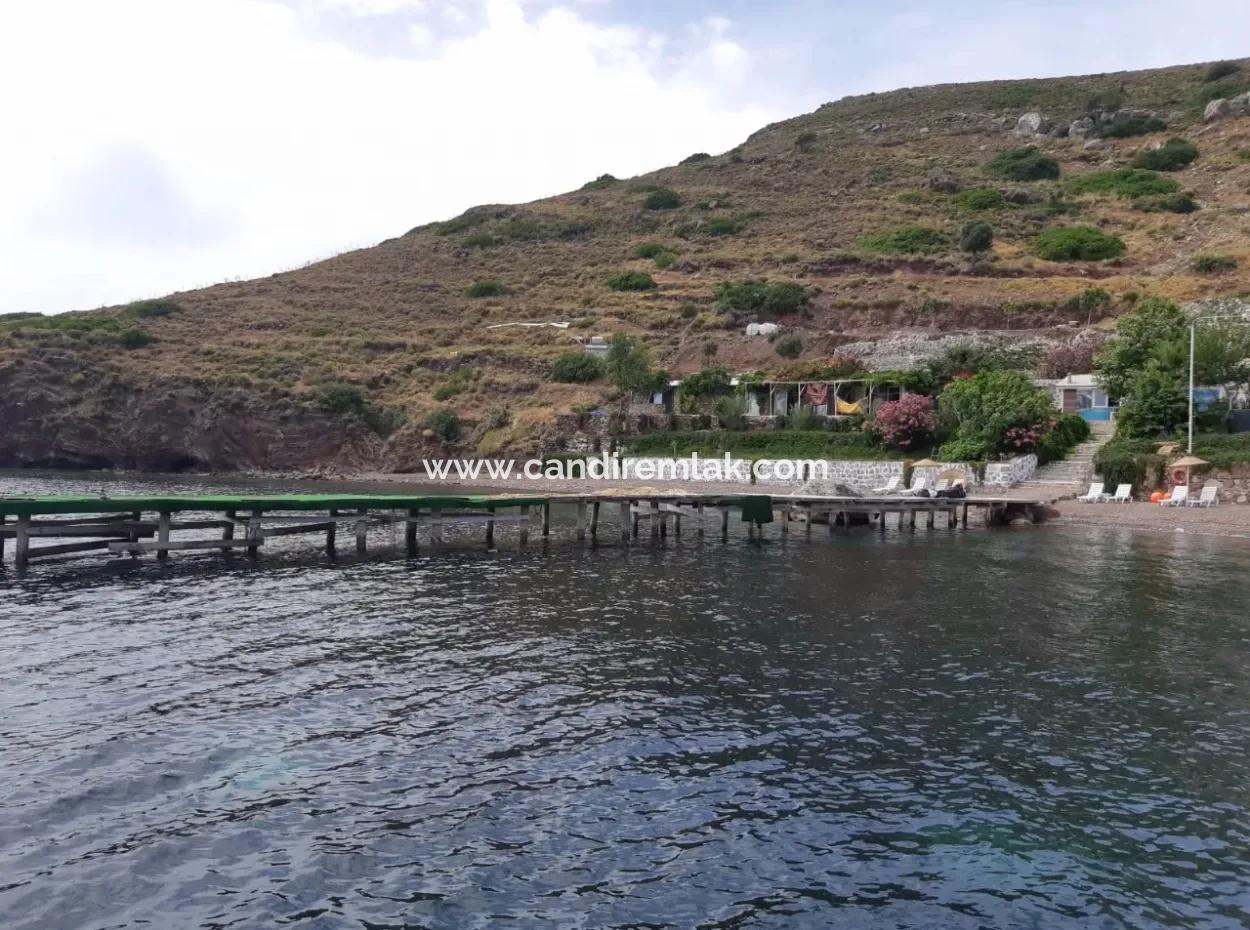 Benutzerdefinierte Dorf Am Meer Zu Verkaufen Villa Zum Verkauf In Osmanabad