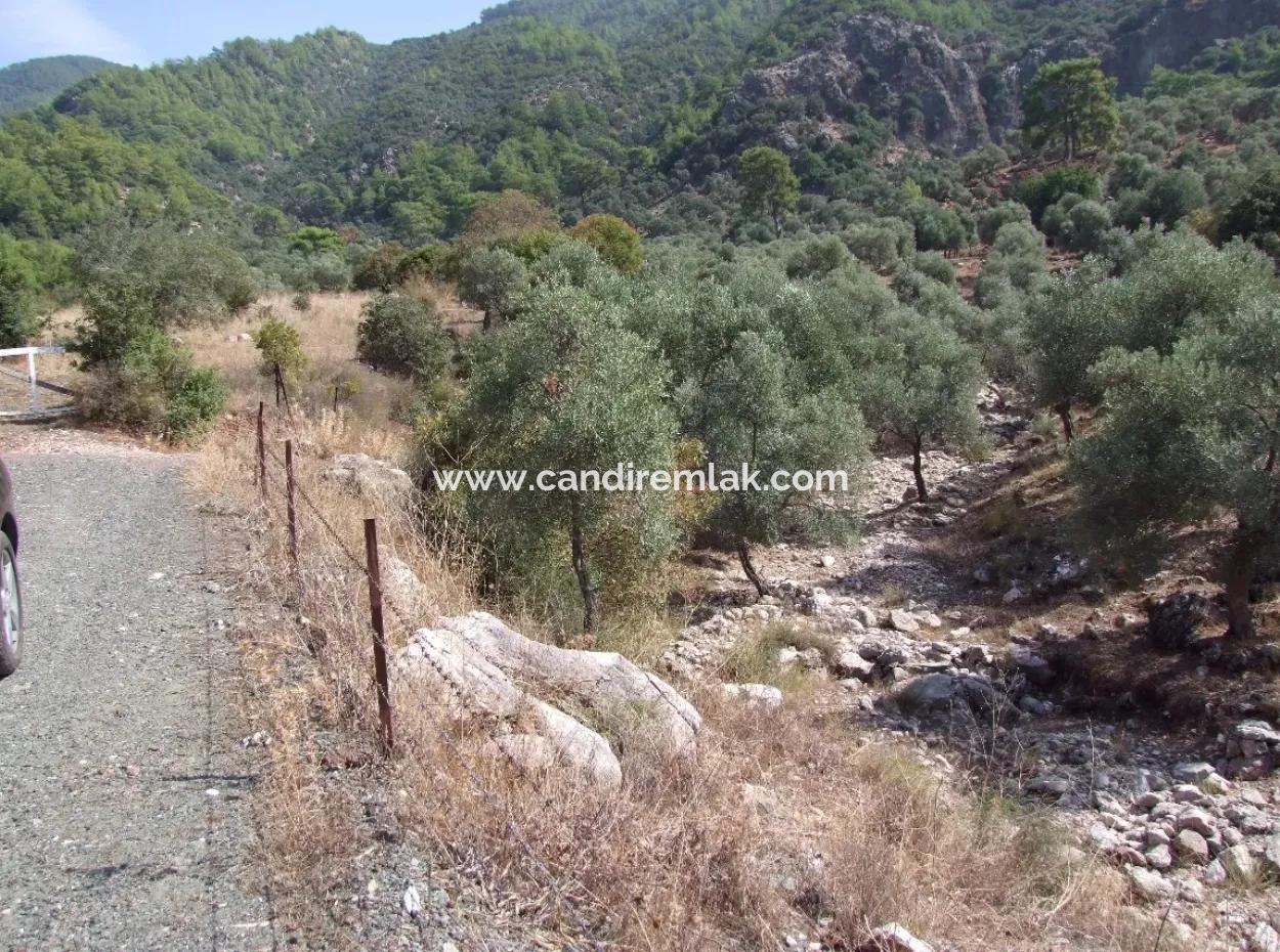 Mit Meerblick Zum Verkauf In Ekincik 5,391M2 Grundstück Zum Verkauf