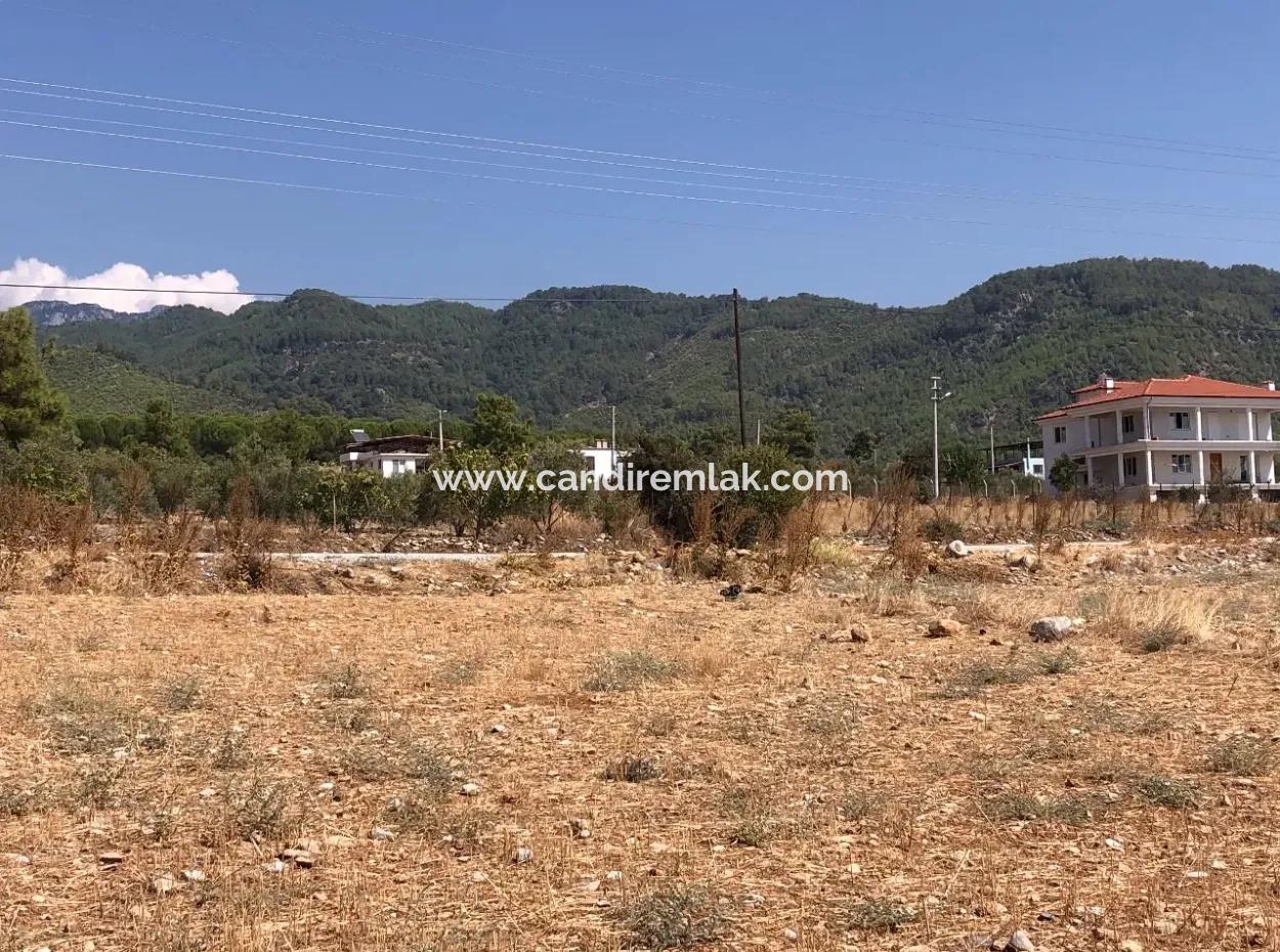 11.227M2 Grundstück Zum Verkauf Mit Seeblick In Köyceğiz Zeytinalan