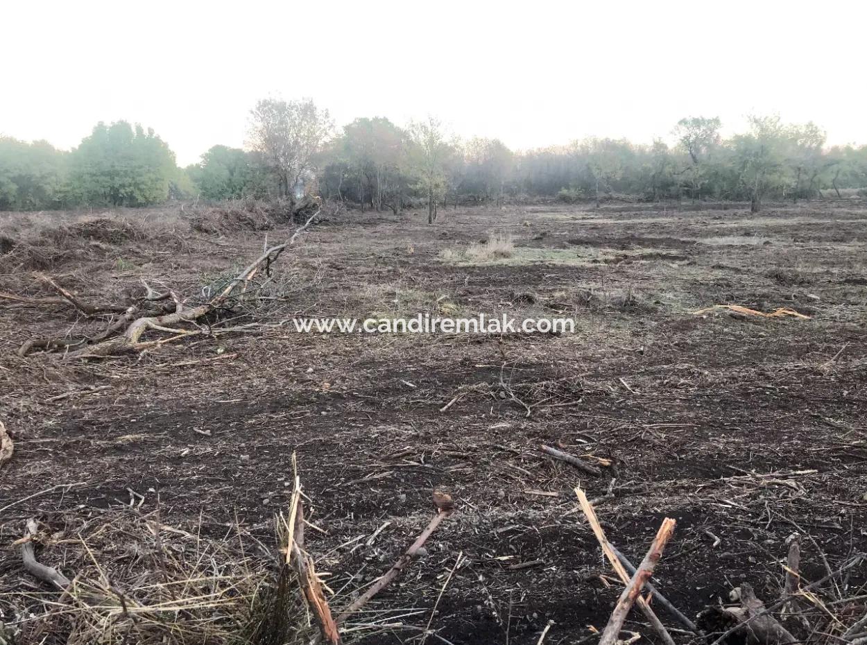 Sultaniye Land For Sale Near 10577M2 Lake Land For Sale