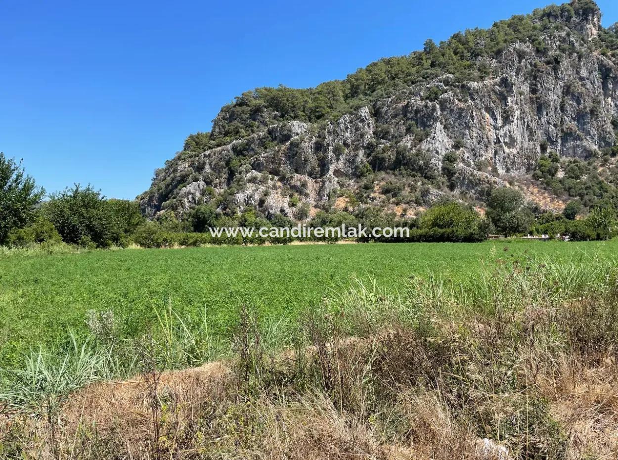 Okçular Land Zum Verkauf In Marmarlı 6500M2