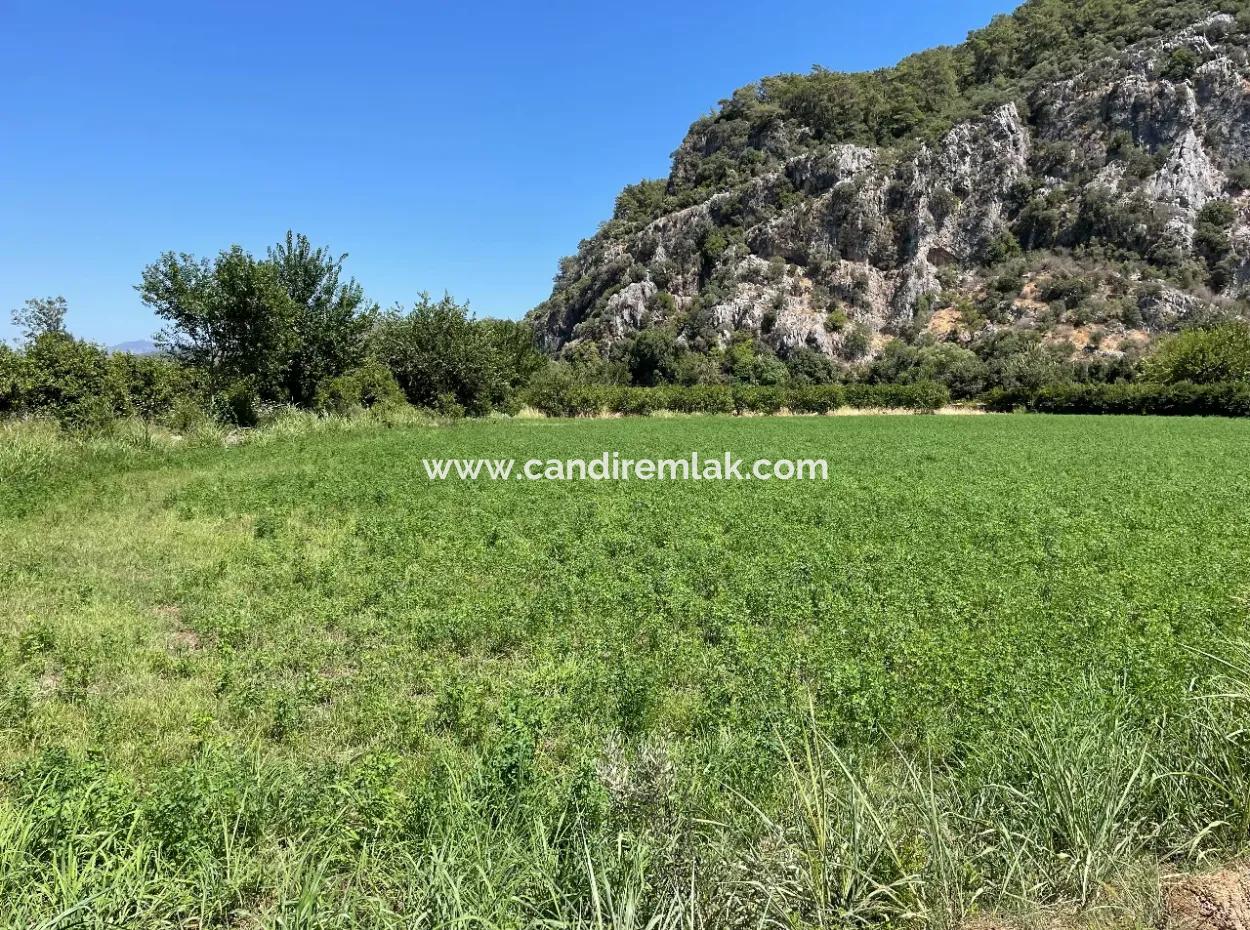 Okçular Land Zum Verkauf In Marmarlı 6500M2