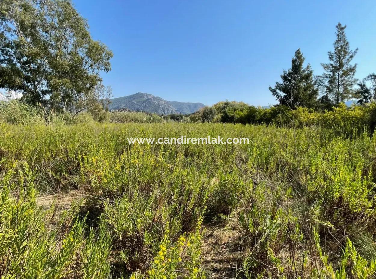 Çandır Kanal Front 2765M2 Einfamilienhaus Zu Verkaufen