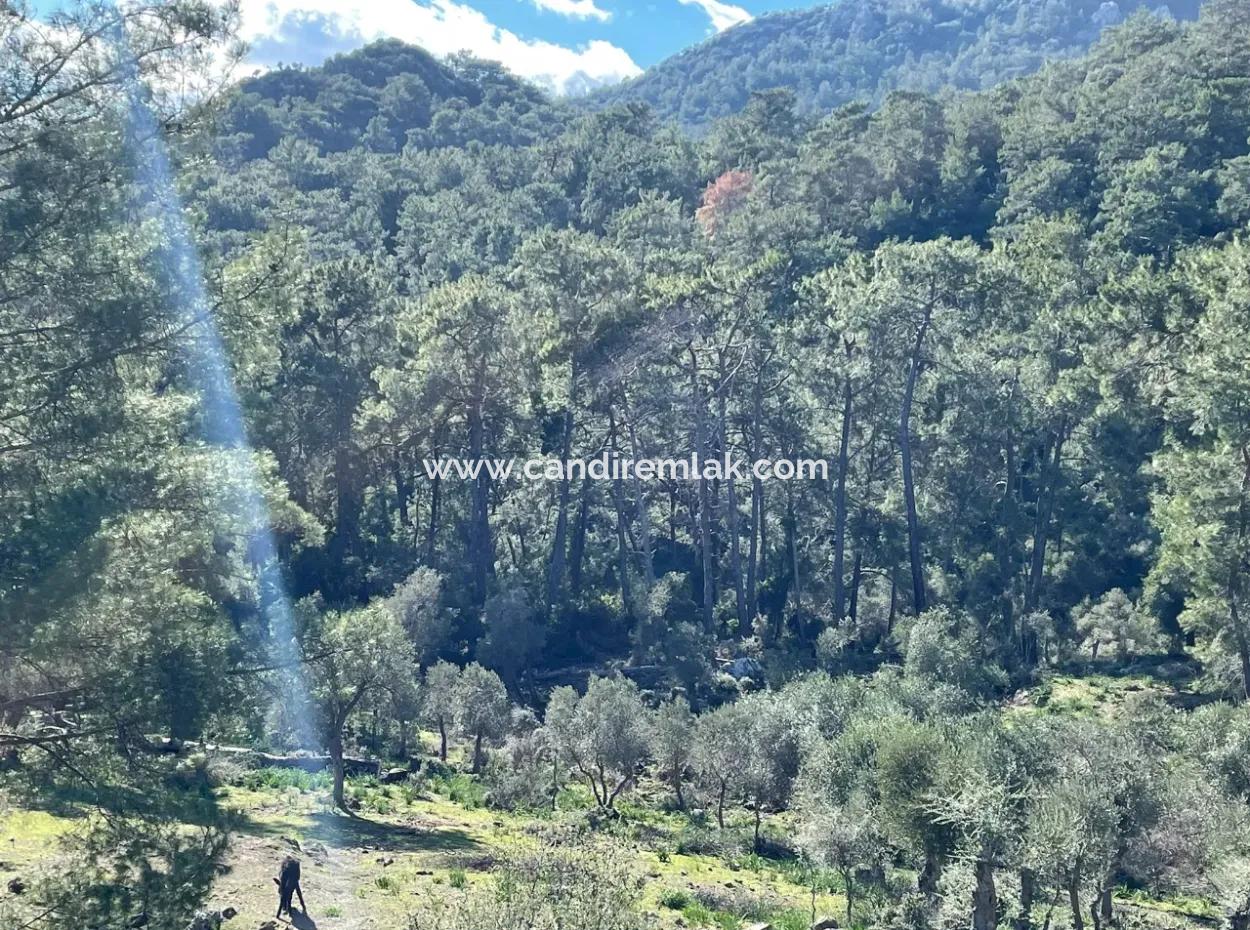 4000M2 Feld Zum Verkauf Mit Seeblick In Çandir