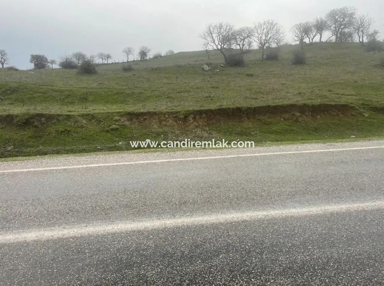 Balikesir Bale Kayaköy Land Zum Verkauf