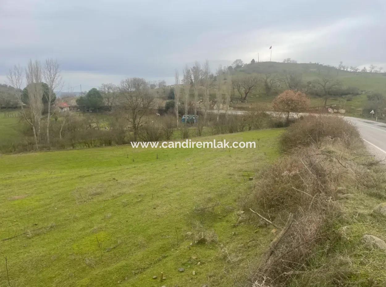 Balikesir Bale Kayaköy Land Zum Verkauf