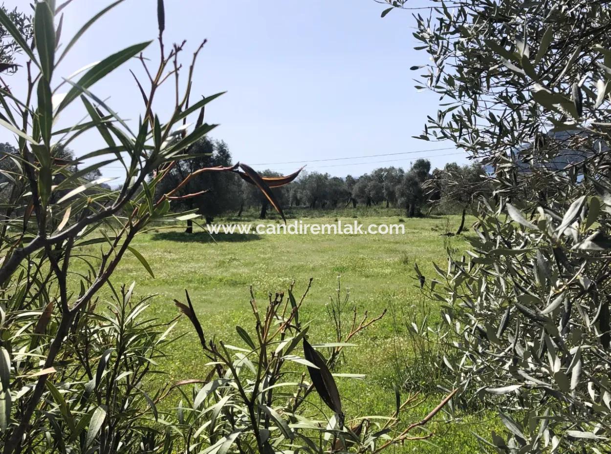 3250M2 Grundstück Zum Verkauf In Ekincik Mit Blick Auf Das Meer