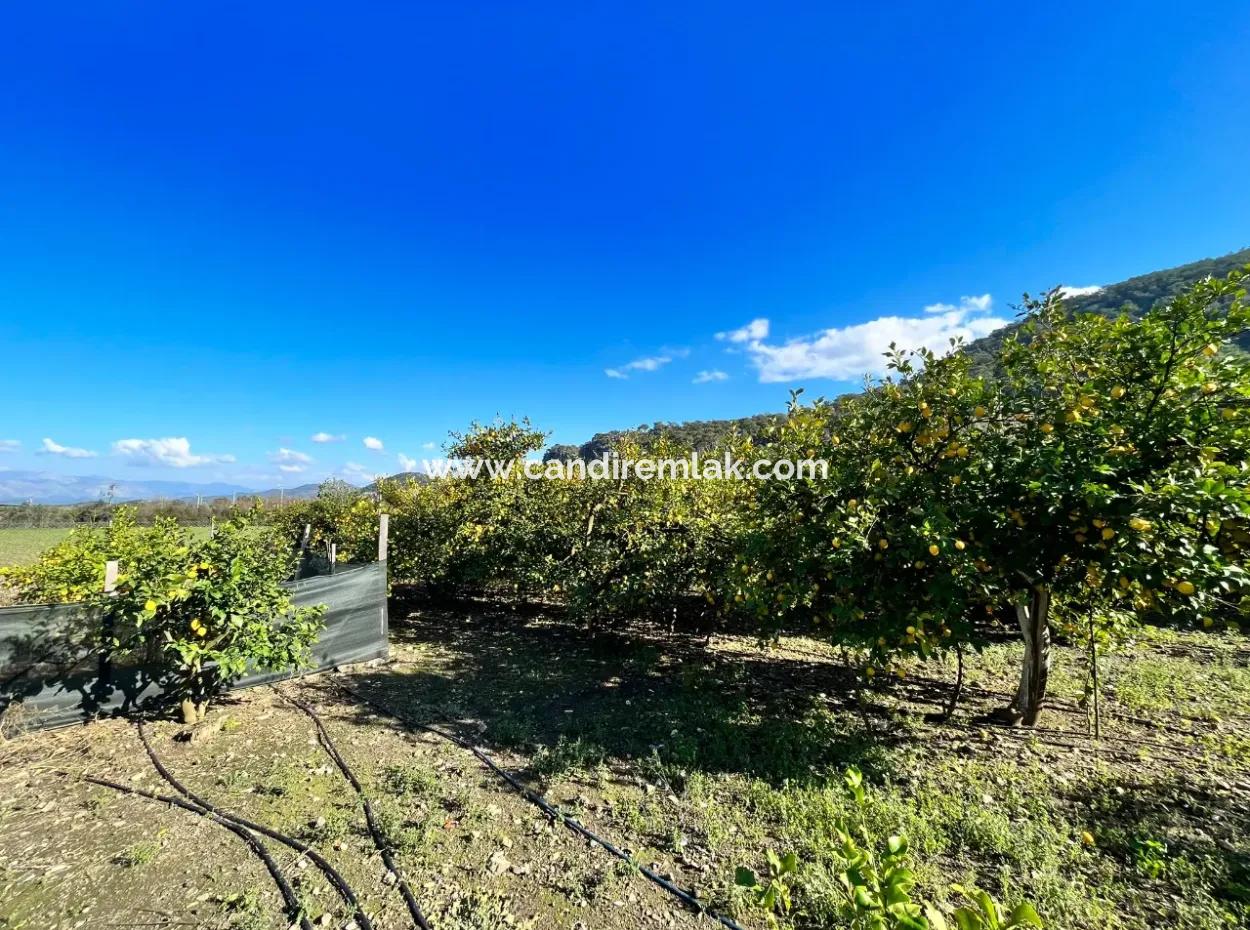 Einstöckiges Haus Zum Verkauf In 5000M2 Grundstück In Çandır