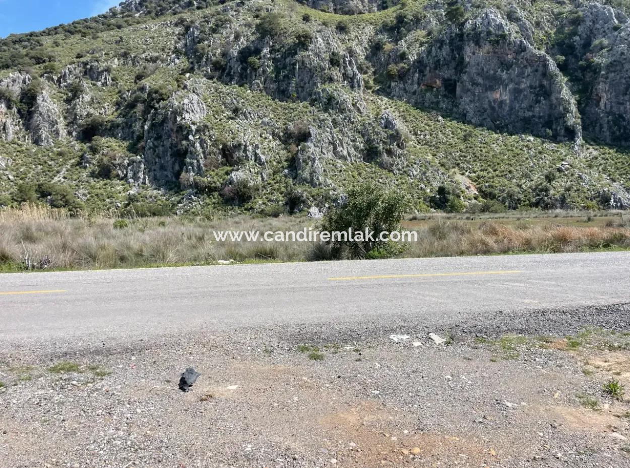 Dalyan Iztuzu Strand Straße Null 19.600M2 Feld Land Zum Verkauf