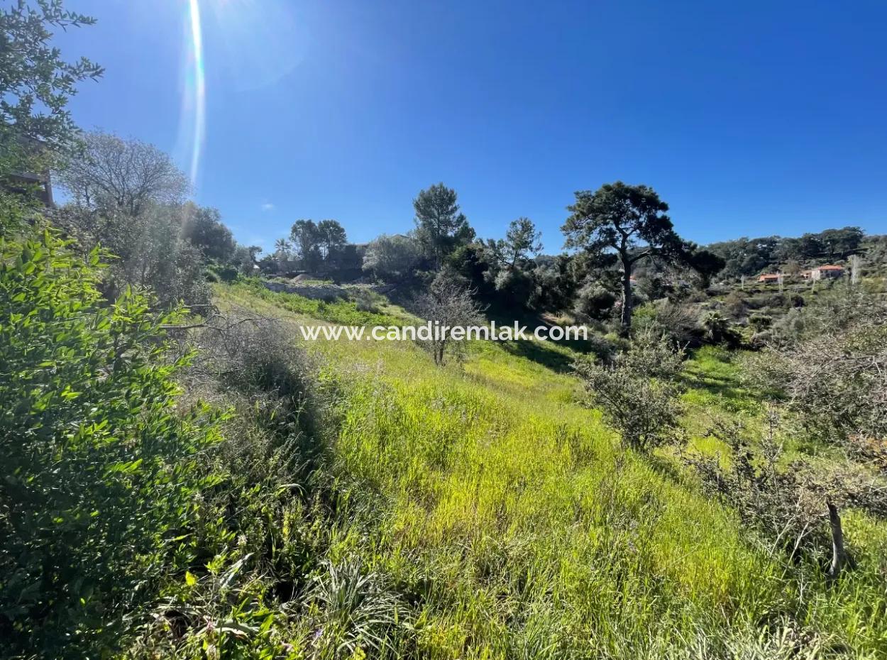 Dorfhaus Zum Verkauf Auf 4.400M2 Grundstück Mit Vollem Meerblick In Gökbel