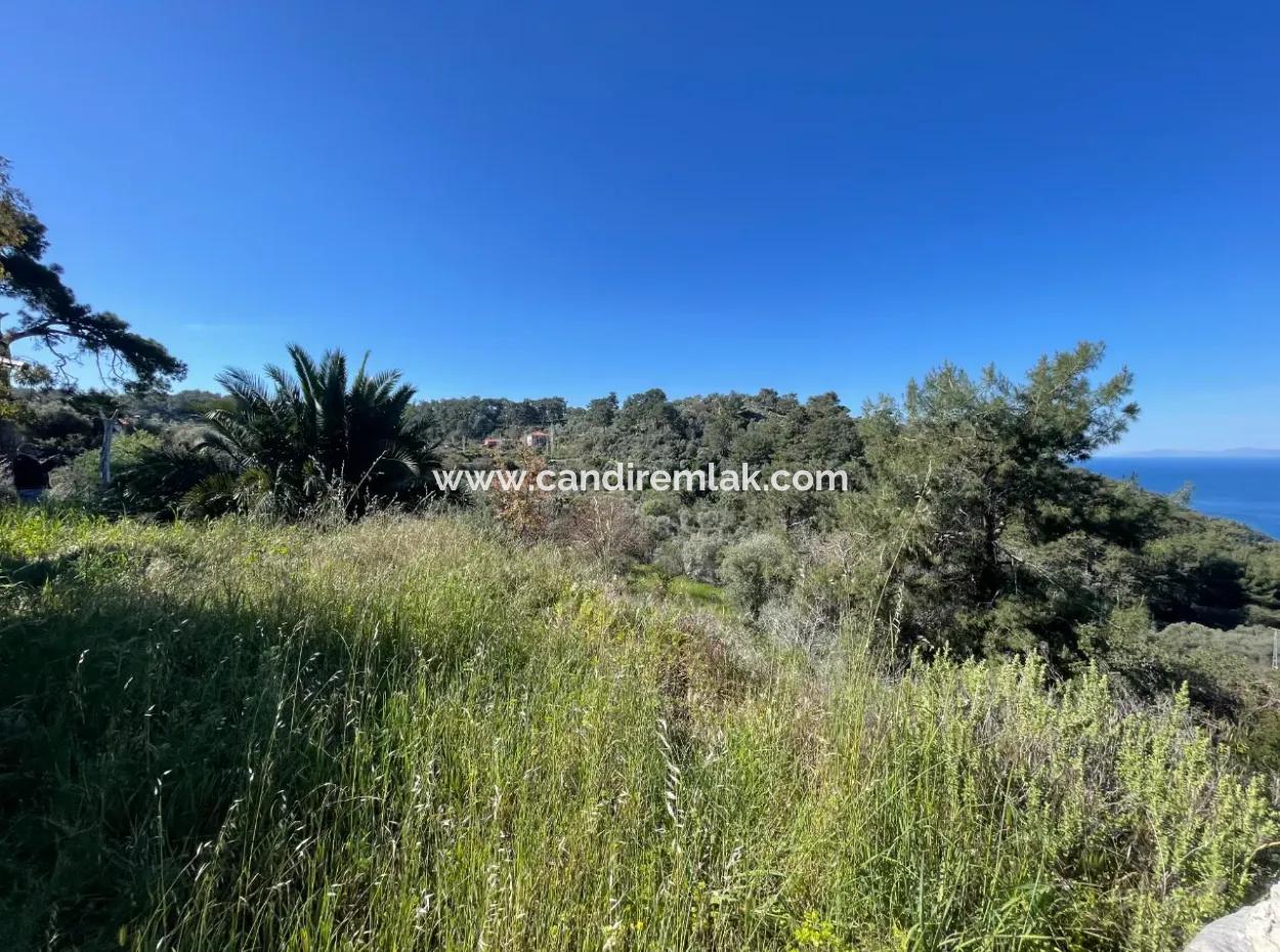 Dorfhaus Zum Verkauf Auf 4.400M2 Grundstück Mit Vollem Meerblick In Gökbel