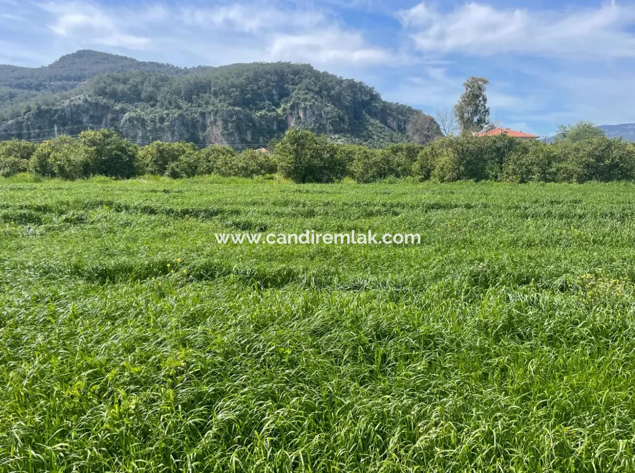 736M2 Grundstück Zum Verkauf In Okçular