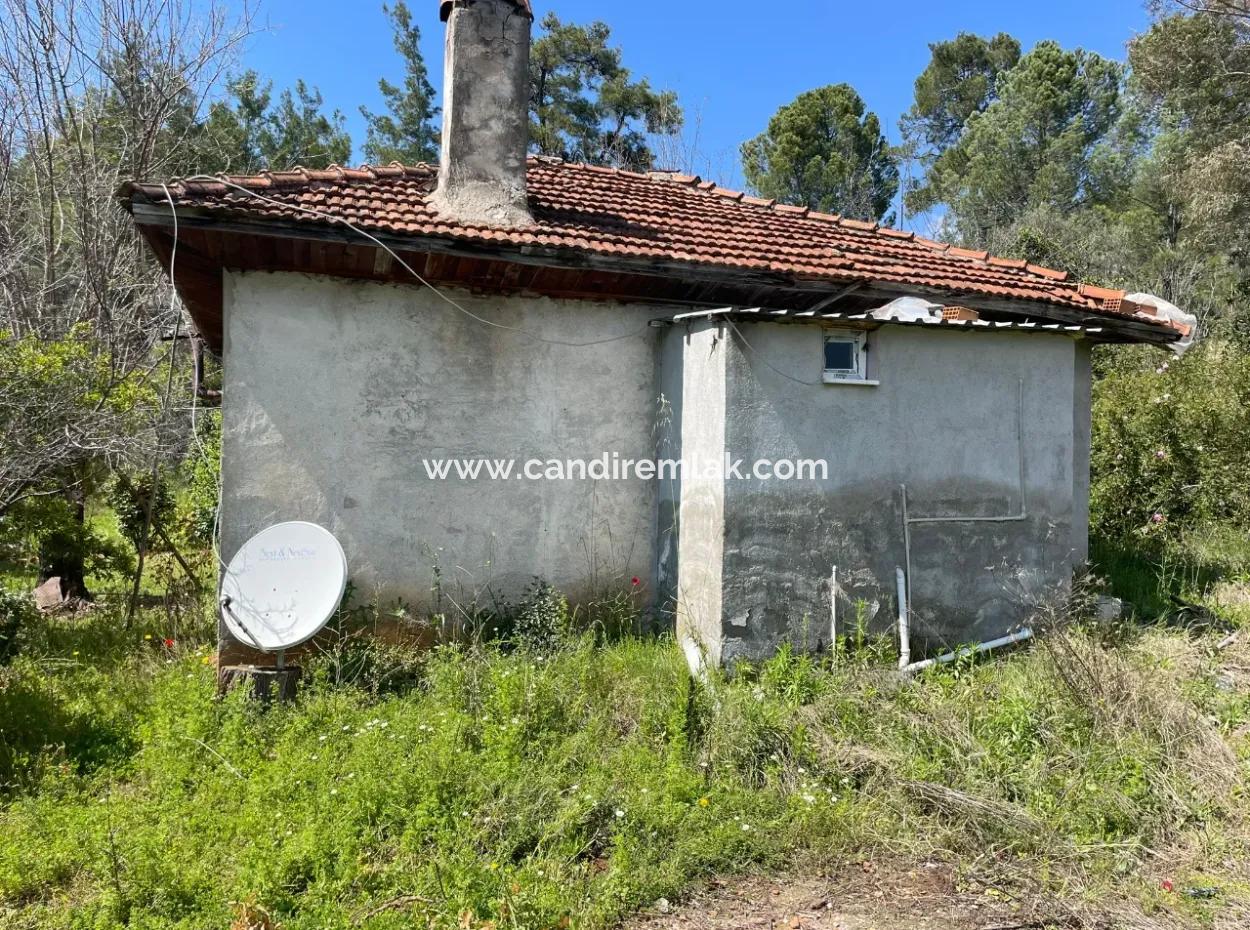 Mehrfamilienhaus Zum Verkauf In 5650M2 Feld In Zeytinalann