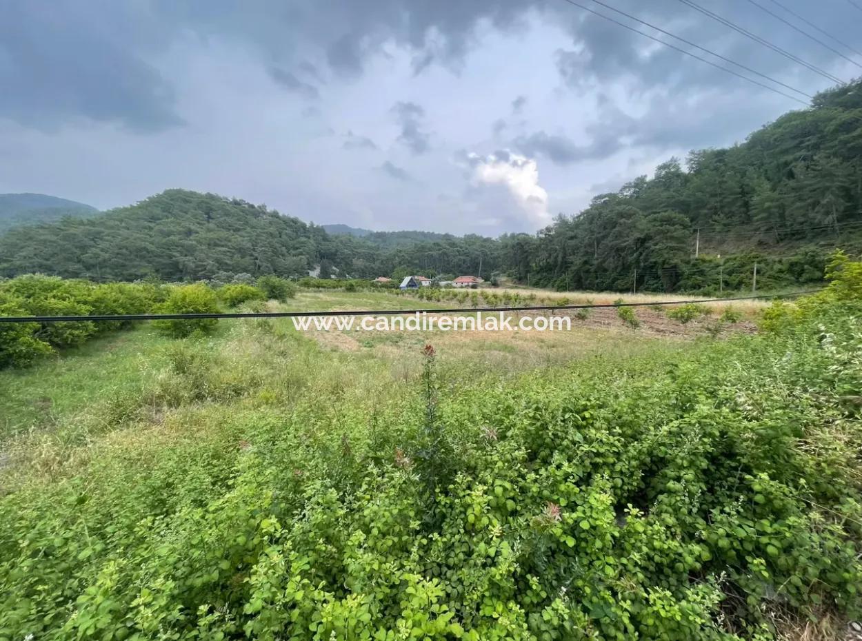 Gökbelde 14.000M2 Feld Zu Verkaufen