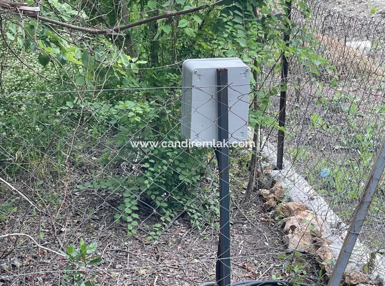 2.528M2 Feld Zum Verkauf In Der Nähe Des Zentrums Von Dalyan