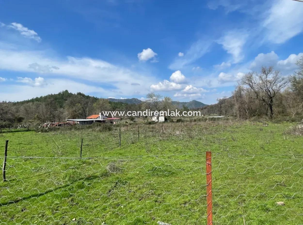 Sultaniye Büyükkaraç Mahallesin Gebraucht Kaufen Feld