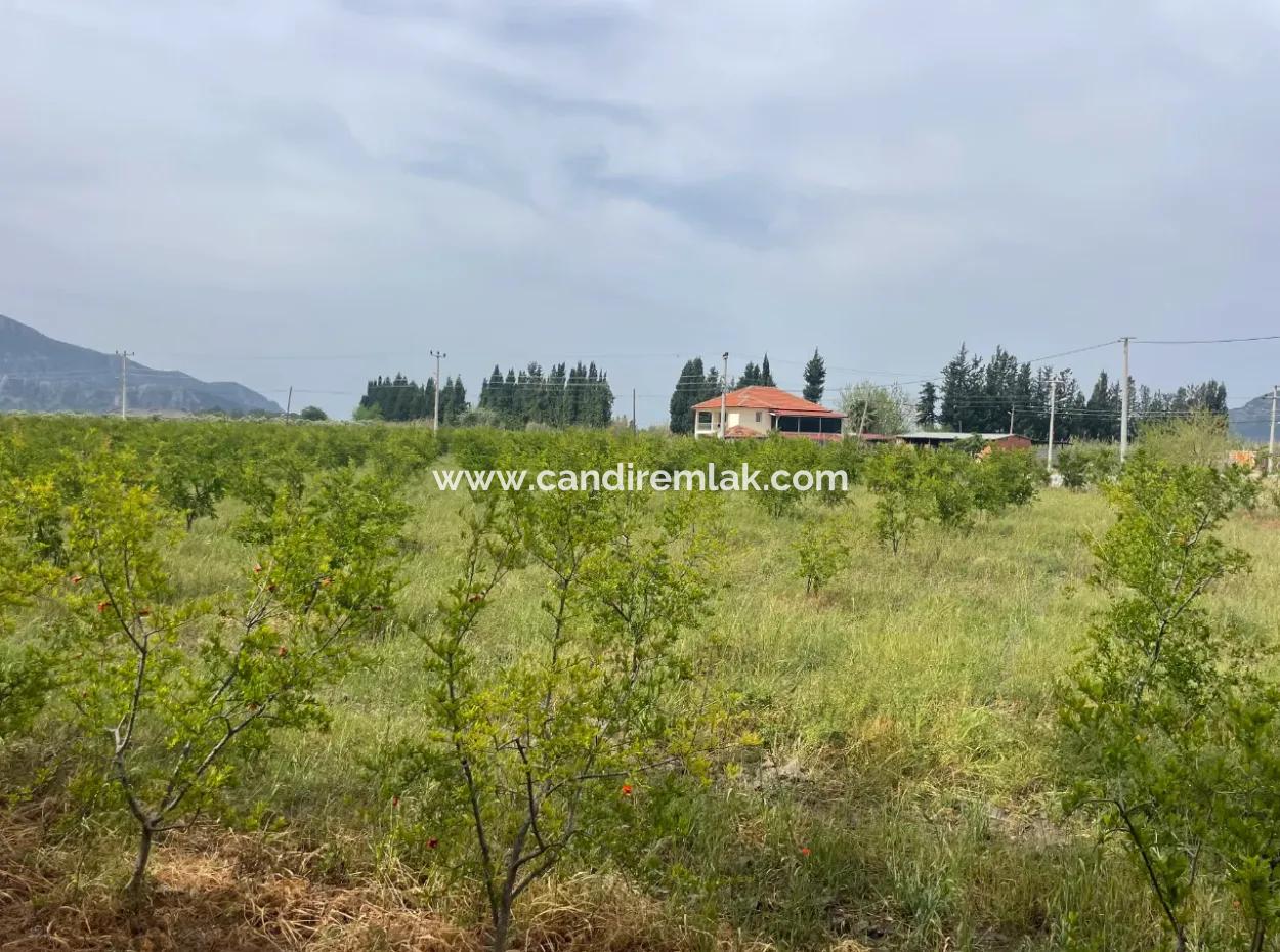 Feld Zu Verkaufen 6500M2 In Dalyan