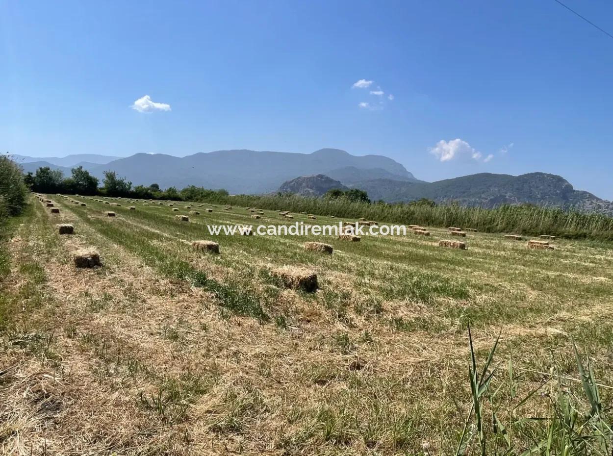 6.500 M2 Feld Zum Verkauf An Der Iztuzu-Straße In Dalyan