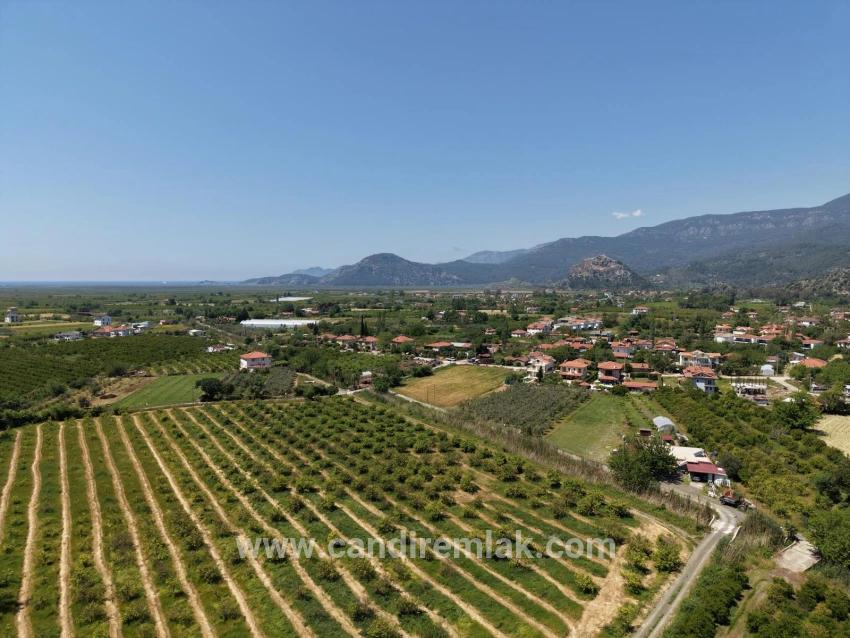 5100m2 Plot Of Land For Sale Near Dalyan Town Center.