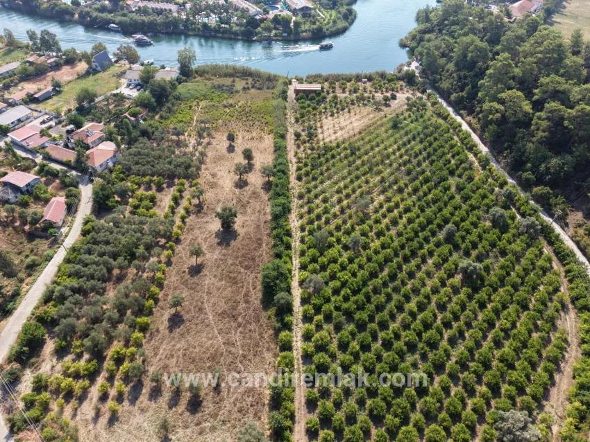 Village of Köyceğiz Çandır Neighbourhood with zero channel 20,000m2 for sale land