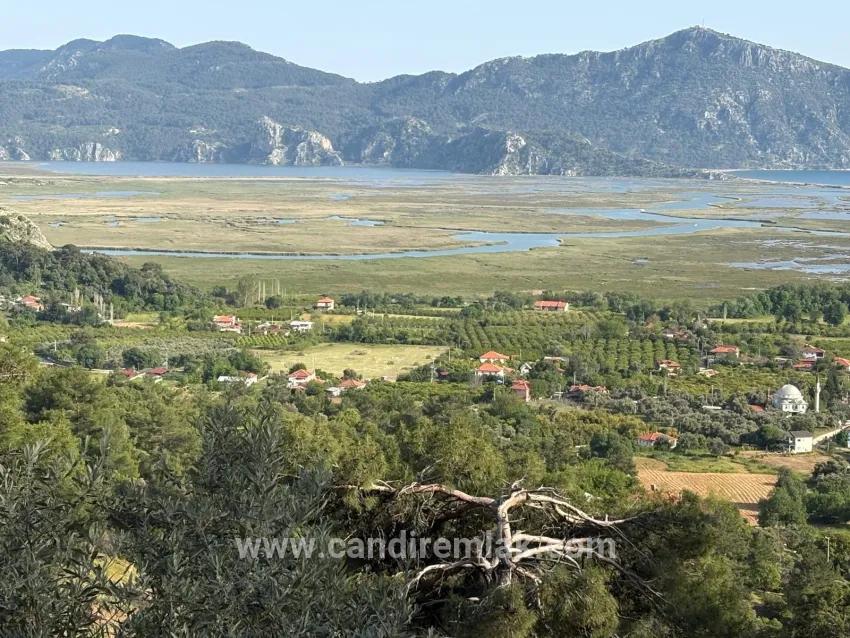 Field For sale in Çandır Nbh. Köyceğiz - Field Zoned - 1.252 m²