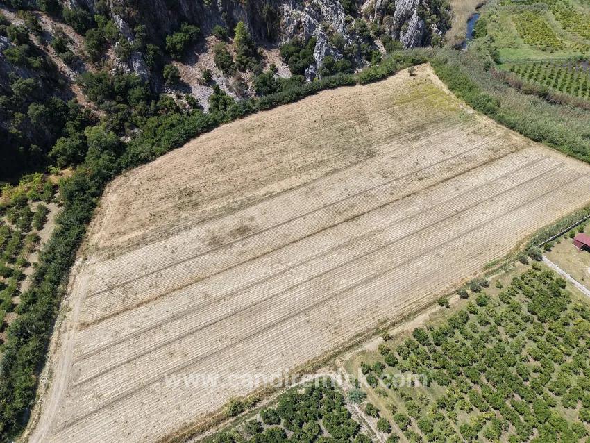 Field For sale in Dalyan Nbh. Ortaca - Field Zoned - 20.786 m²