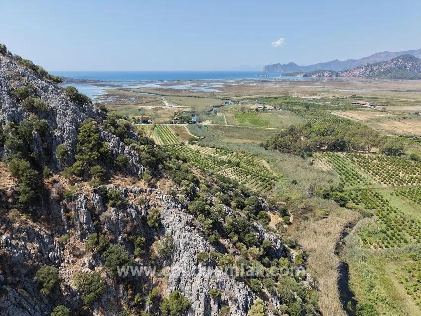Field For sale in Dalyan Nbh. Ortaca - Field Zoned - 20.786 m²