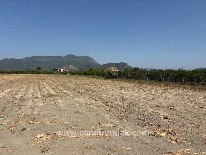 Field For sale in Dalyan Nbh. Ortaca - Field Zoned - 20.786 m²