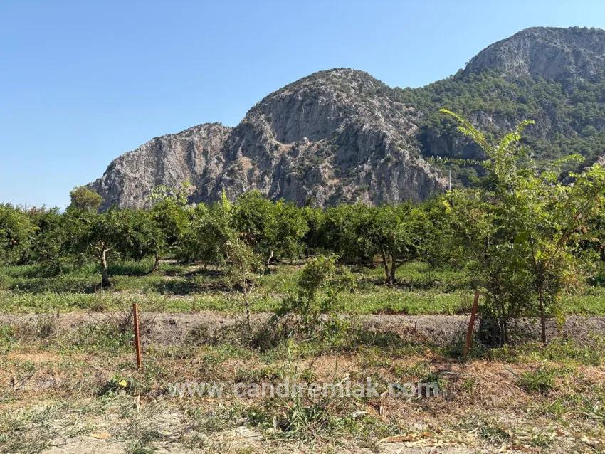 Field For sale in Dalyan Nbh. Ortaca - Field Zoned - 20.786 m²