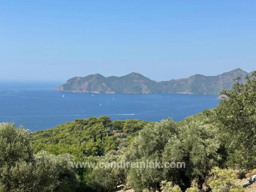 Field For sale in Çandır Nbh. Köyceğiz - Field Zoned - 21.000 m²