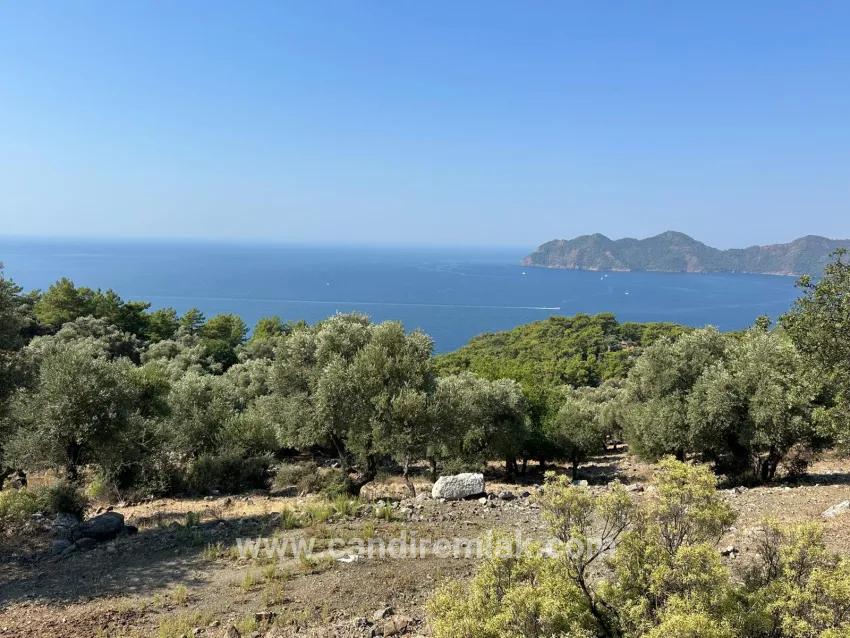 Field For sale in Çandır Nbh. Köyceğiz - Field Zoned - 21.000 m²