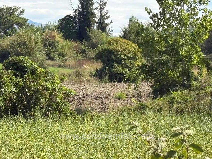 Field For sale in Zeytinalanı Nbh. Köyceğiz - Field Zoned - 10.500 m²