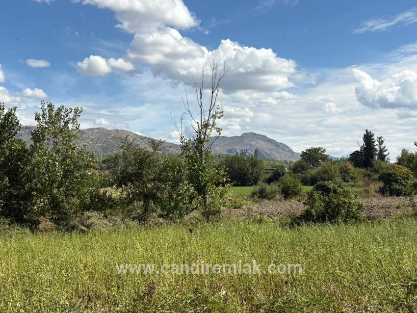 Field For sale in Zeytinalanı Nbh. Köyceğiz - Field Zoned - 10.500 m²