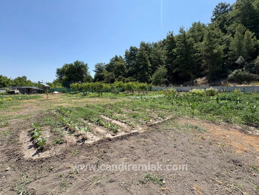 120m2 Detached Wooden House On A 2500m2 Field In Dalyan Karadağ Area