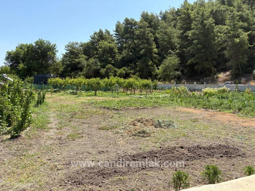 120m2 Detached Wooden House On A 2500m2 Field In Dalyan Karadağ Area