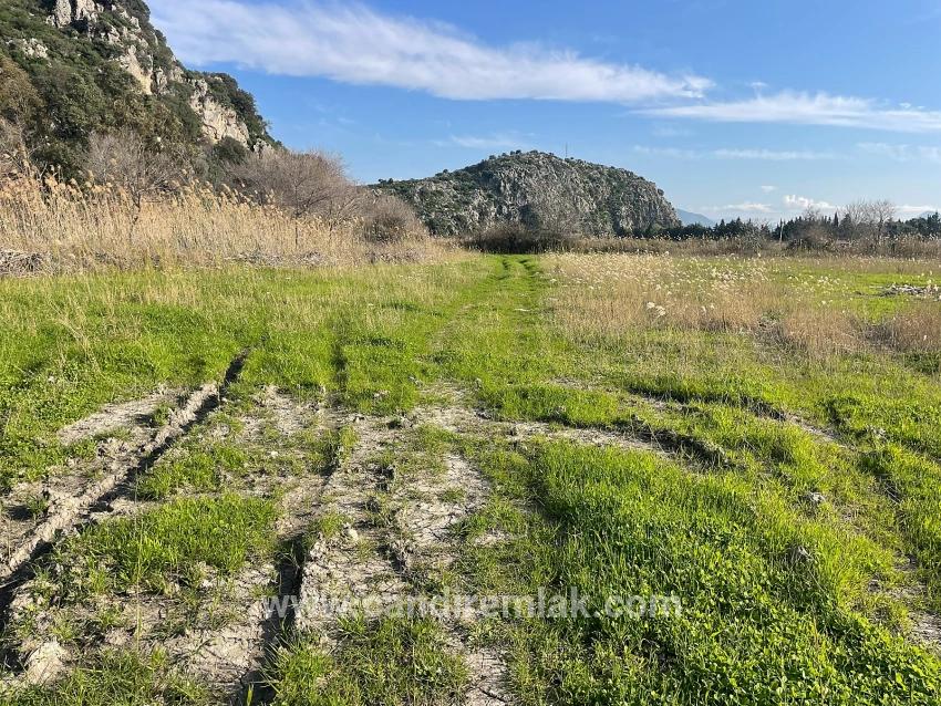 6800 M2 Plot Of Land For Sale In Dalyan With 5% Residential Zoning.