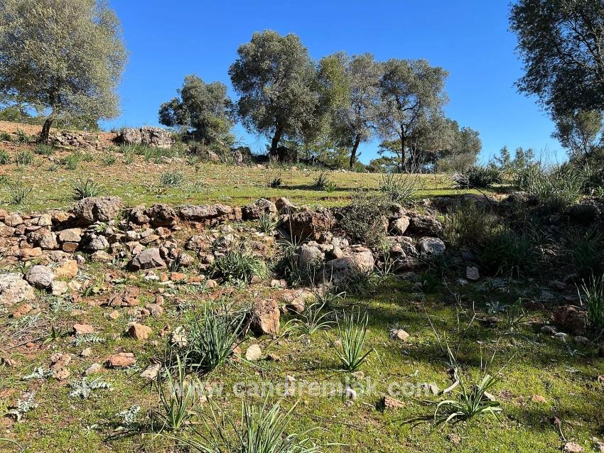 Land For Sale In Gökbel, Surrounded By Nature And Forest.