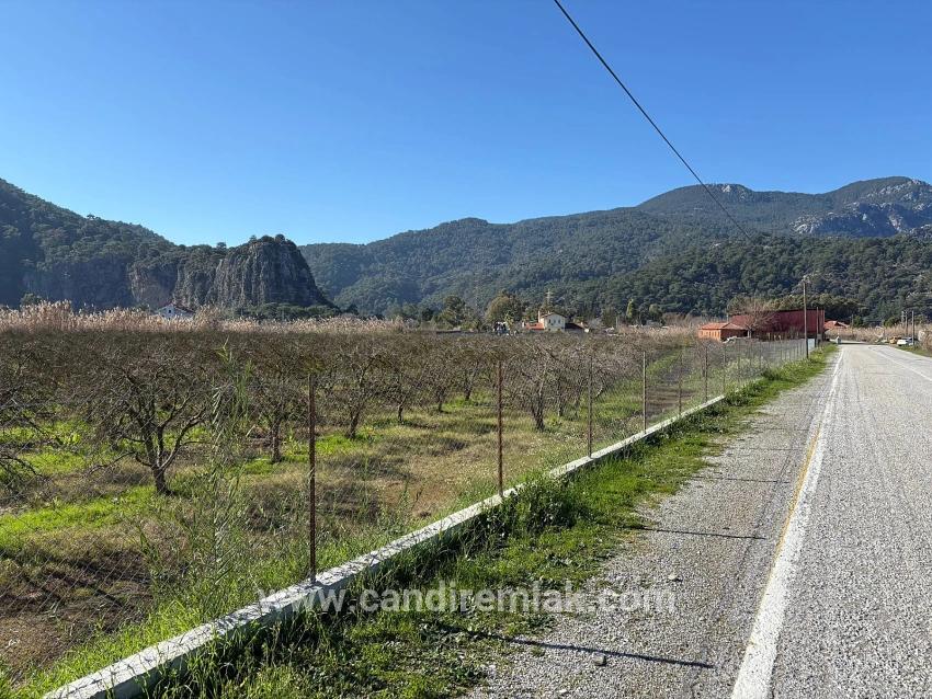 Land For sale in Dalyan Nbh. Ortaca - Housing Zoned - 5.985 m²
