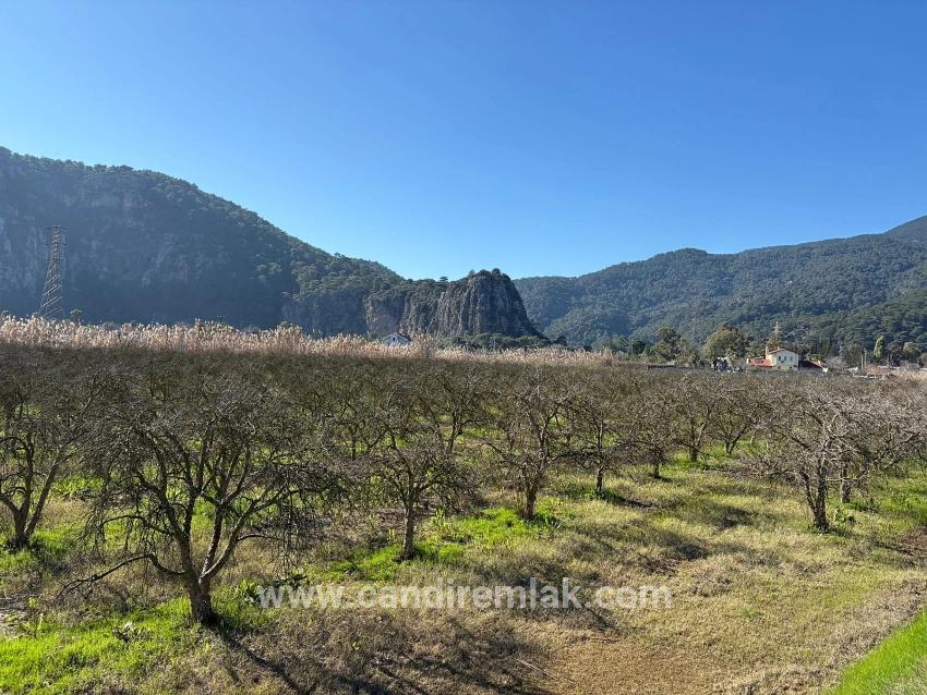 5985m2 Plot Of Land For Sale In Dalyan, Zoned For 5% Vineyard/orchard Use.