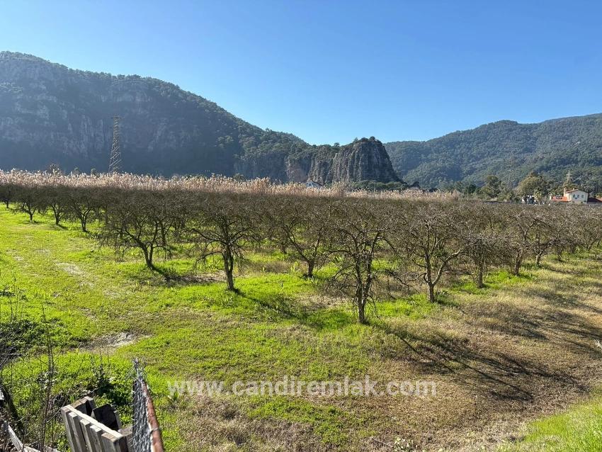 5985m2 Plot Of Land For Sale In Dalyan, Zoned For 5% Vineyard/orchard Use.