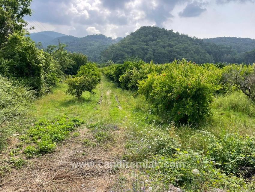 7800m2 Land For Sale In Gökbel, Next To Iztuzu Beach Road