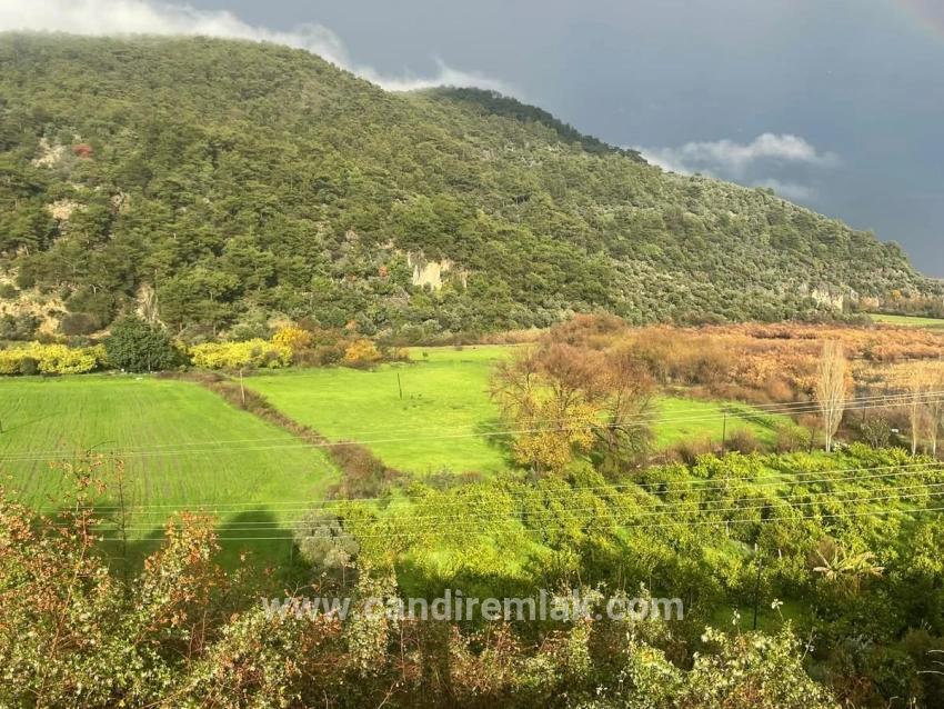 35,000 M² Farm Land For Sale In Çandır, Köyceğiz.