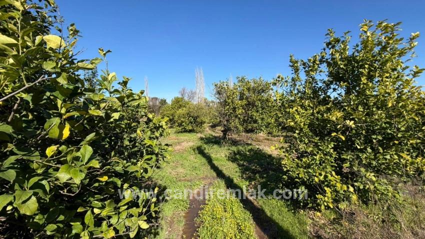 2.218m2 Land For Sale In Okçular Marmarlı